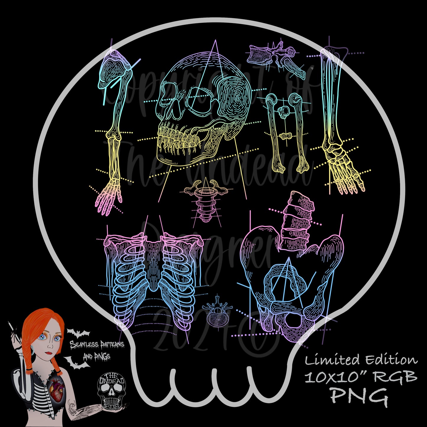 Anatomy PNG
